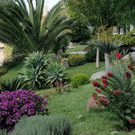 Casa Ischitana Apartment Forio di Ischia Екстериор снимка