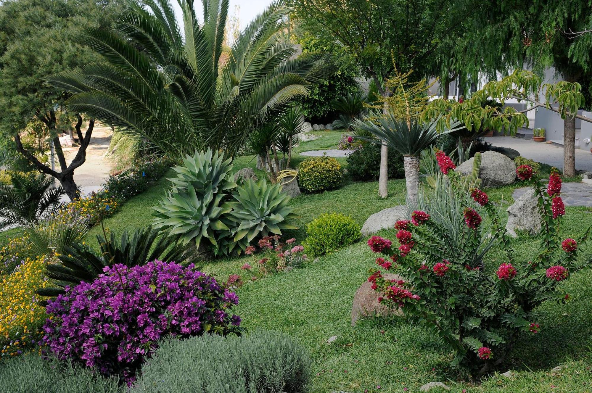 Casa Ischitana Apartment Forio di Ischia Екстериор снимка