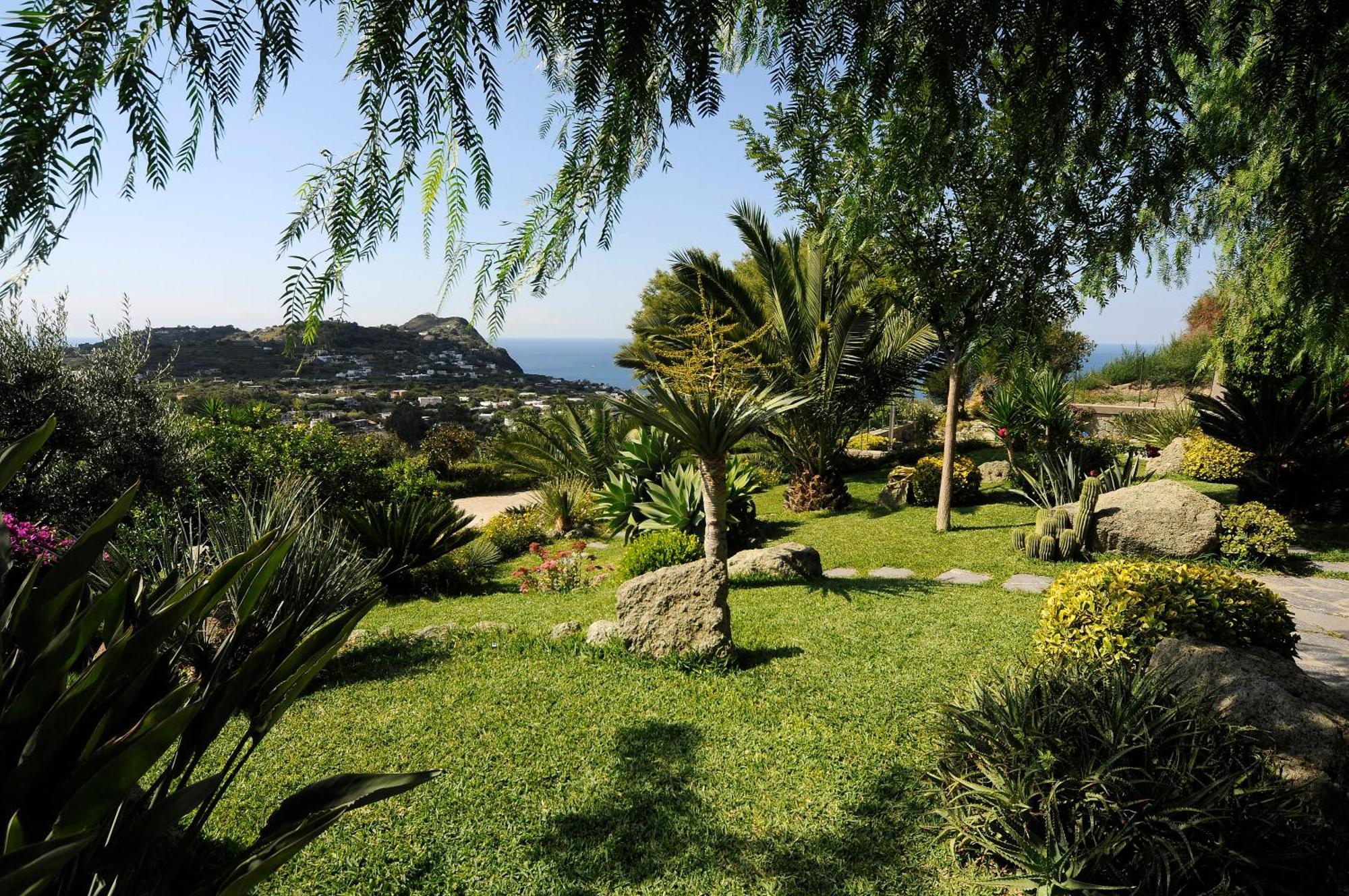 Casa Ischitana Apartment Forio di Ischia Екстериор снимка