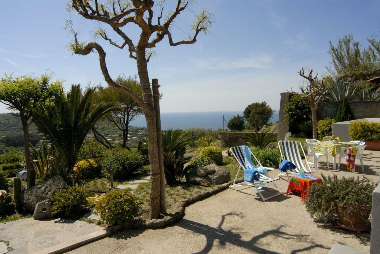Casa Ischitana Apartment Forio di Ischia Екстериор снимка